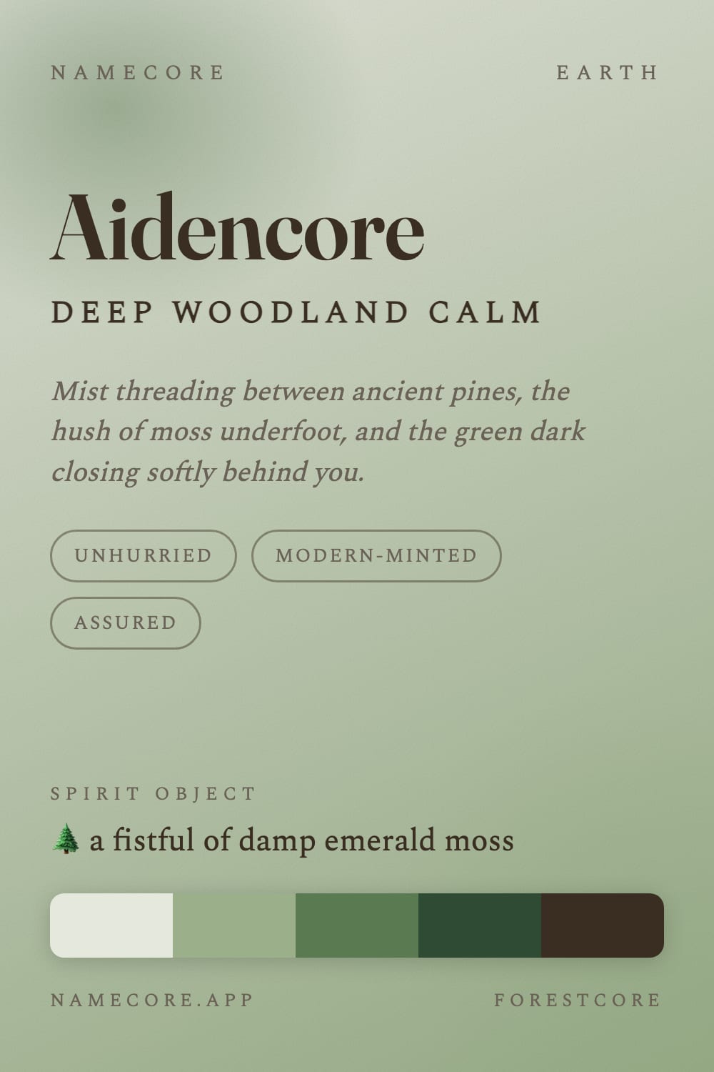Aiden aesthetic card - Aidencore: a Forestcore palette, Fraunces type and a fistful of damp emerald moss