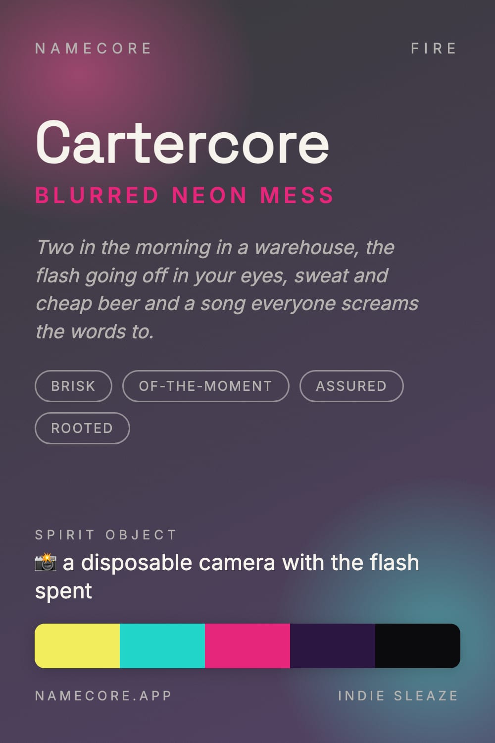 Carter aesthetic card - Cartercore: a Indie Sleaze palette, Space Grotesk type and a disposable camera with the flash spent