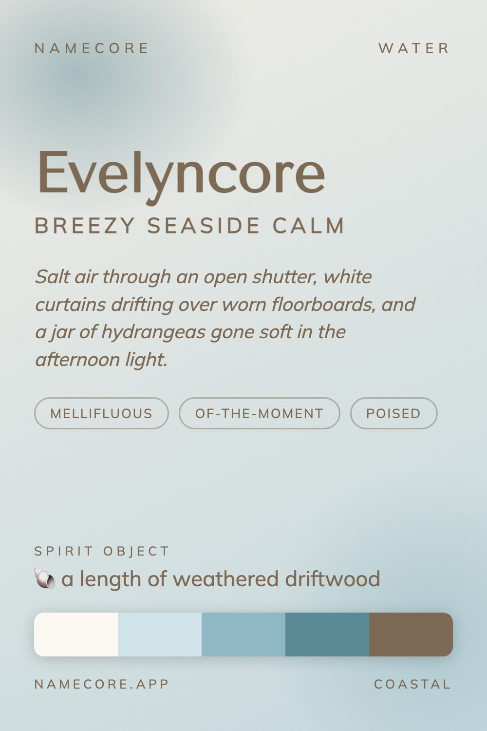 Evelyn aesthetic card - Evelyncore: a Coastal palette, Tenor Sans type and a length of weathered driftwood