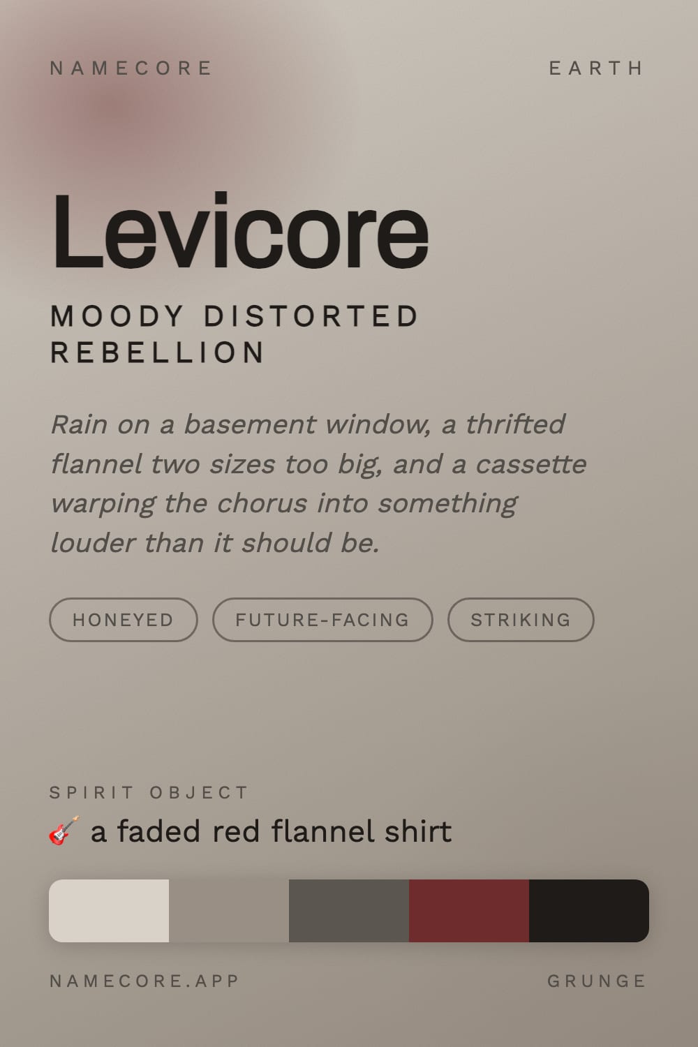 Levi aesthetic card - Levicore: a Grunge palette, Archivo type and a faded red flannel shirt