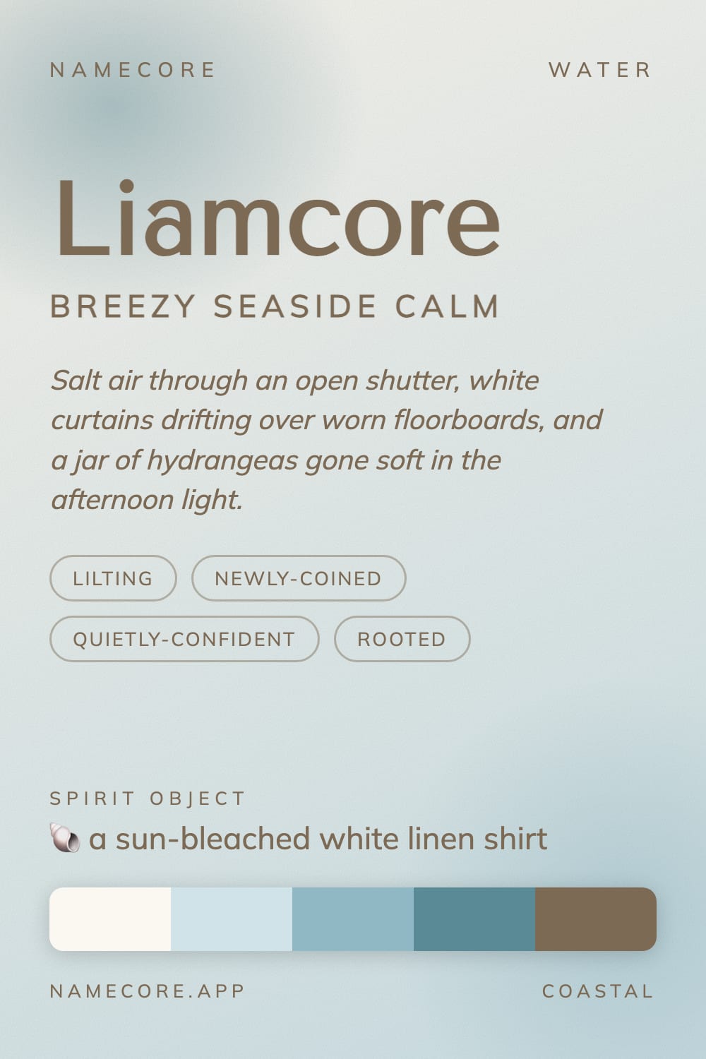 Liam aesthetic card - Liamcore: a Coastal palette, Tenor Sans type and a sun-bleached white linen shirt